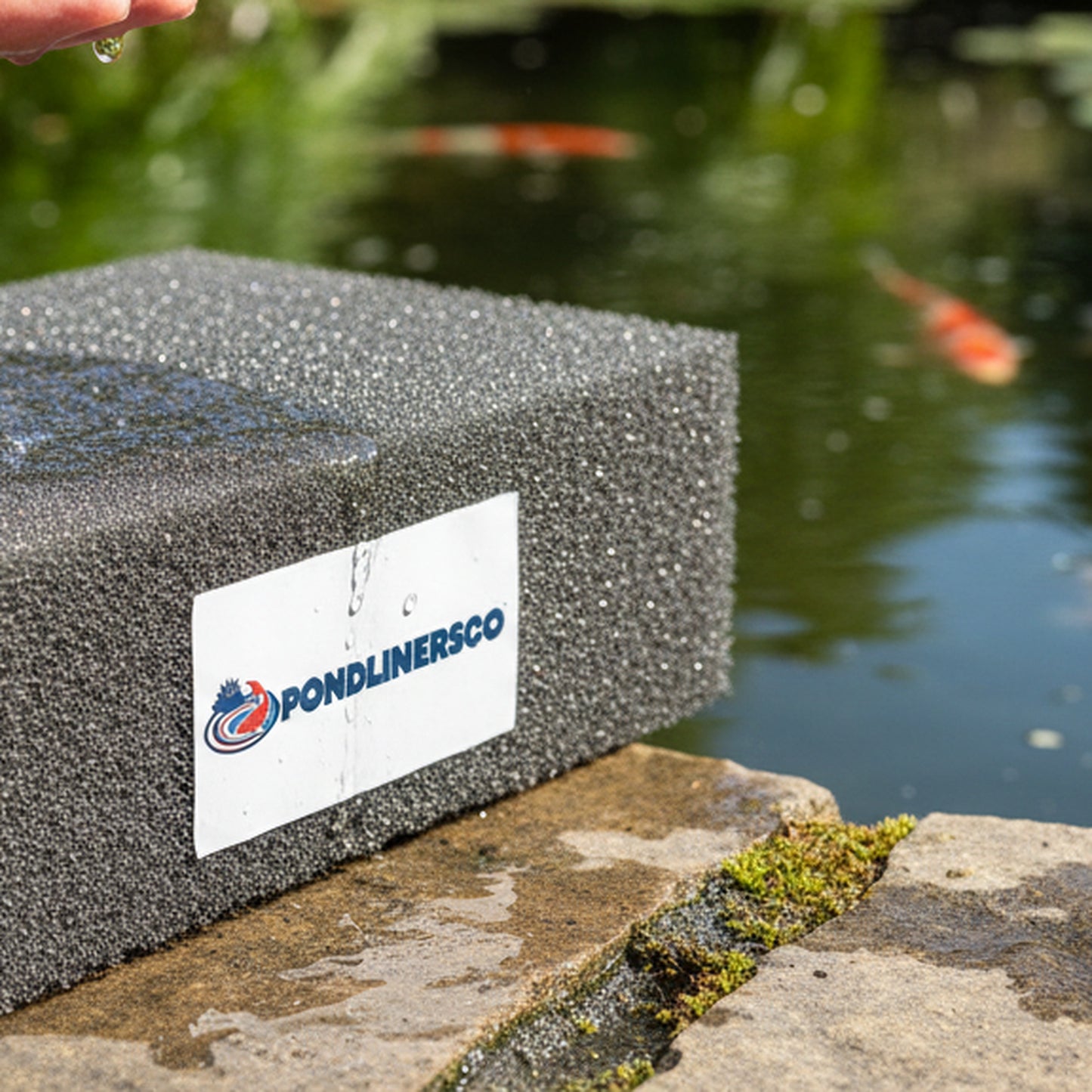 Filter Sponge - in use at pond