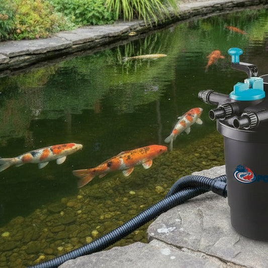 Pressurised koi pond filter with UV steriliser installed beside garden pond