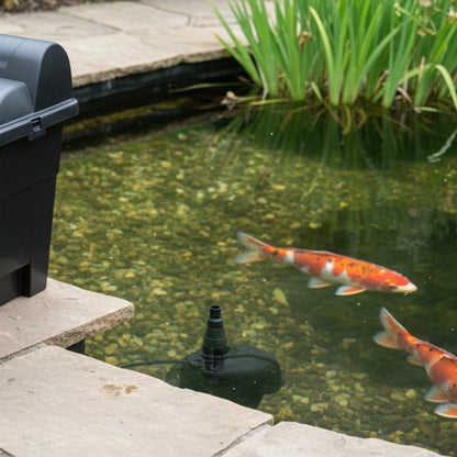 UV clarifier unit beside a beautiful clear UK garden koi pond – PondLiners Co