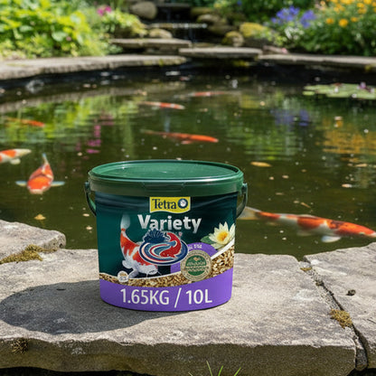 Premium pond fish food bucket beside koi pond with healthy fish