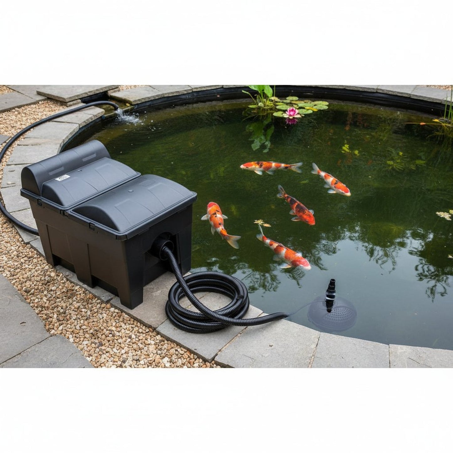 Complete pond filter UV set 15000L installed next to clear UK koi pond