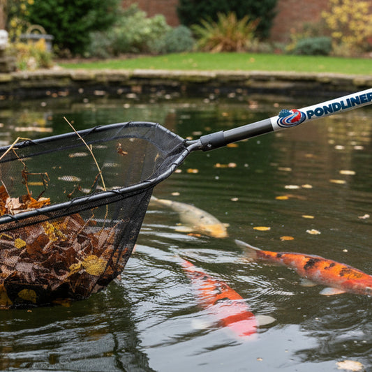 Heavy duty pond skimmer net removing debris from a UK koi pond – PondLiners Co