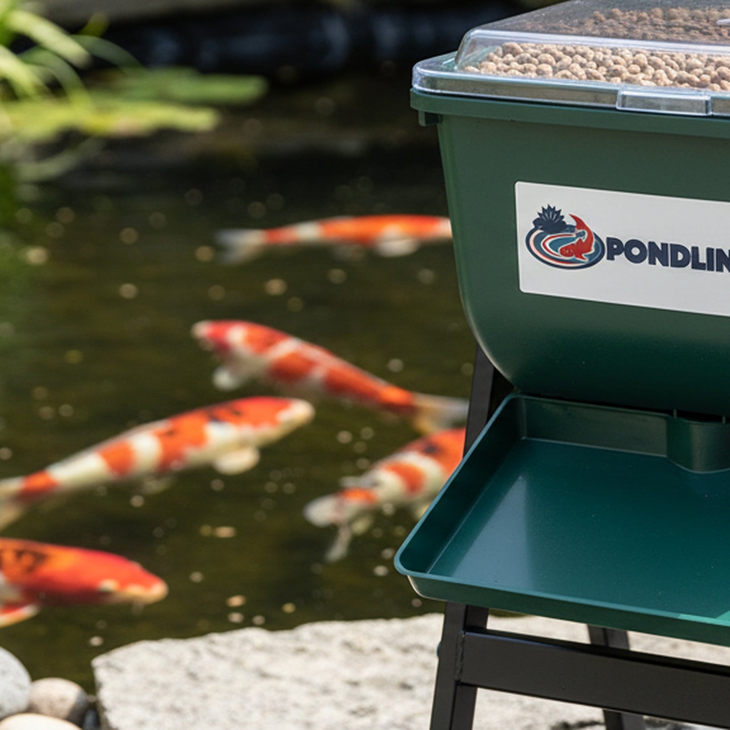 Feeder on Stand - in use at pond