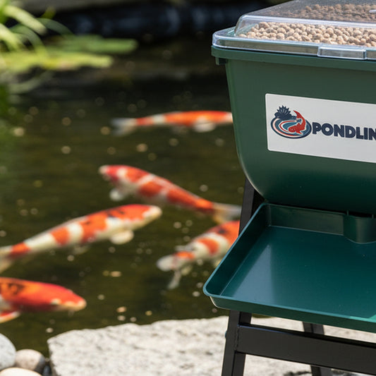 Feeder on Stand - in use at pond