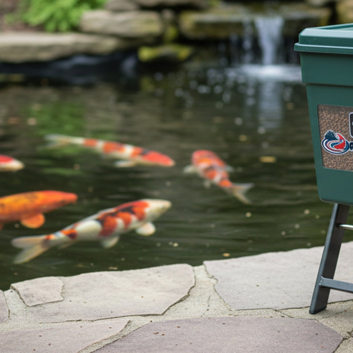 Feeder on Stand - lifestyle koi pond