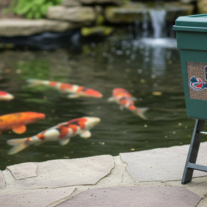 Feeder on Stand - lifestyle koi pond