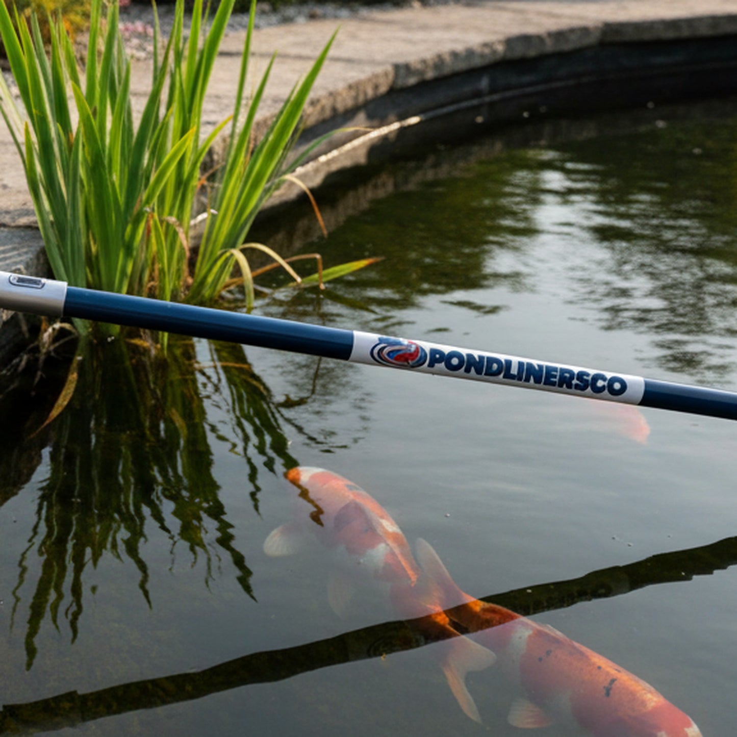 Pond skimmer net beside a clear UK garden koi pond – PondLiners Co