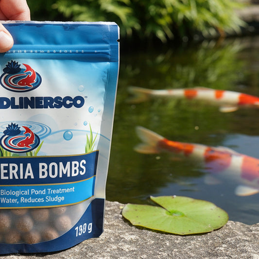 Bacteria Bomb Duo - in use at pond