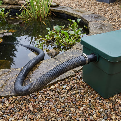 Black flexible pond hose running from a garden pond to a pond filter, secured to the filter inlet with a hose clip