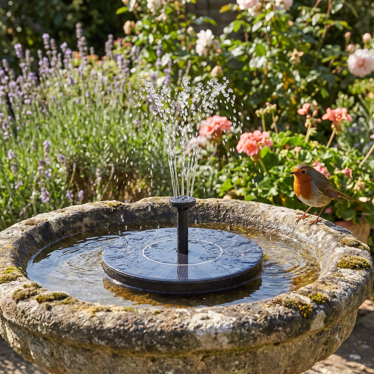 Floating solar fountain in a stone bird bath with a robin perched on the rim