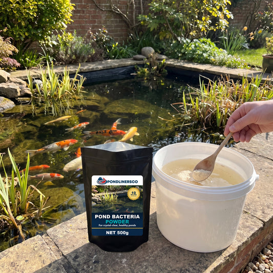 PondLinersco pond bacteria powder being stirred into a bucket of pond water beside its pouch on the edge of a clear koi pond