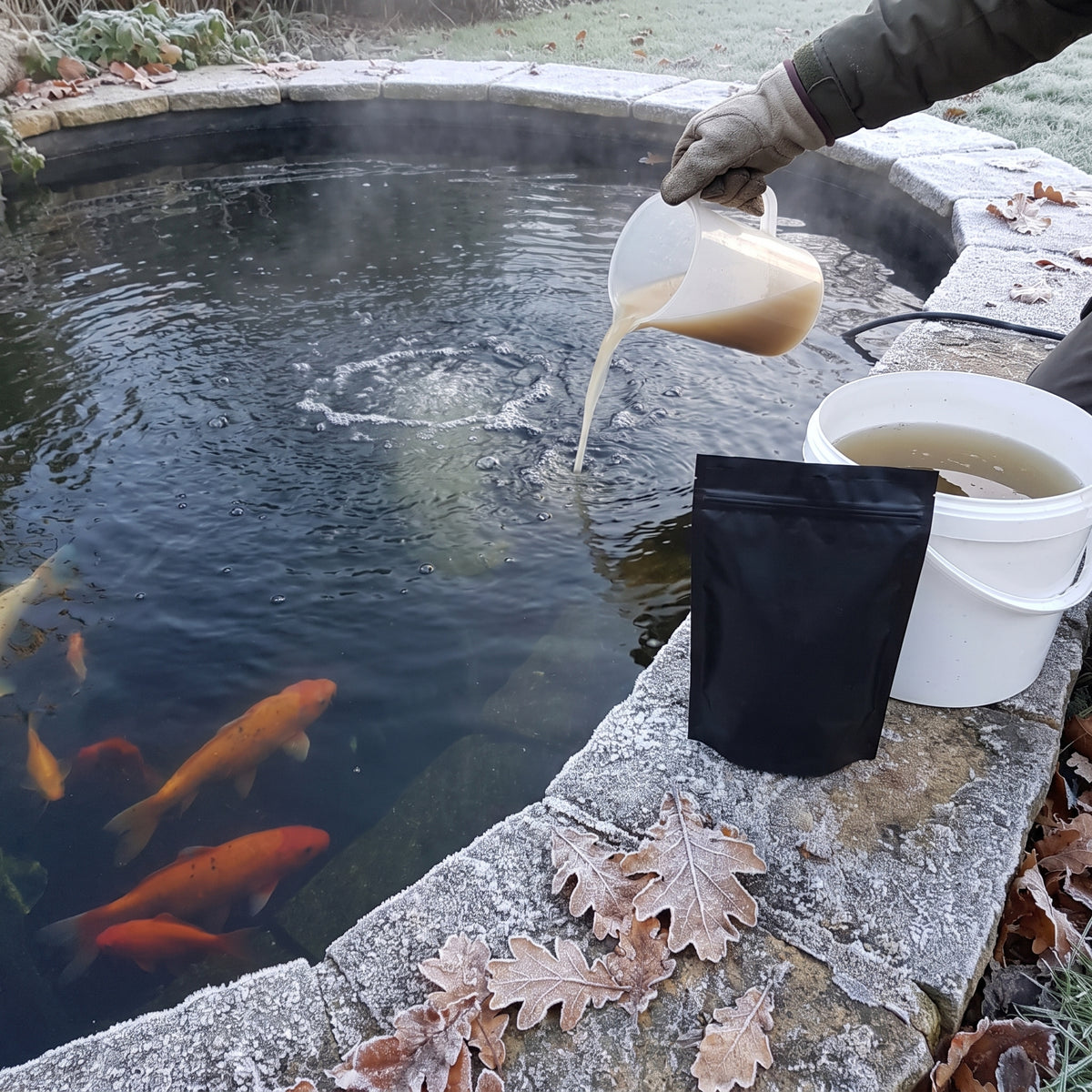 Winter bacteria solution being poured from a jug into a frosty UK koi pond with the black pouch on the frozen stone edge